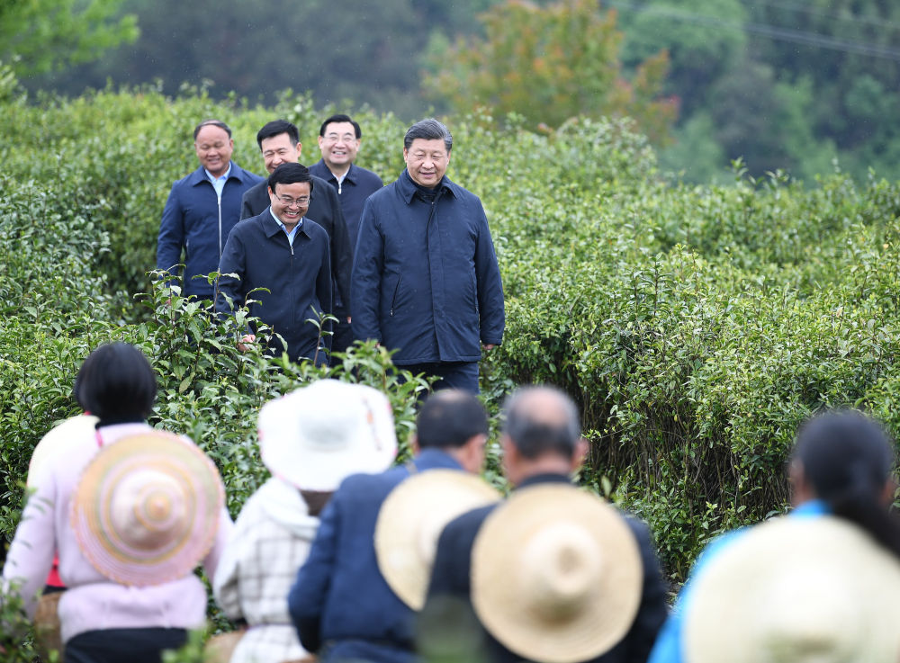 2020年4月21日，習(xí)近平來到陜西省安康市平利縣老縣鎮(zhèn)，在茶園考察脫貧攻堅(jiān)情況。新華社記者 燕雁 攝